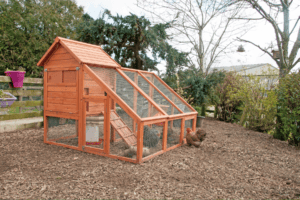 Chicken Coop