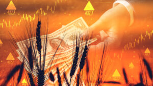value of commodities affects land prices