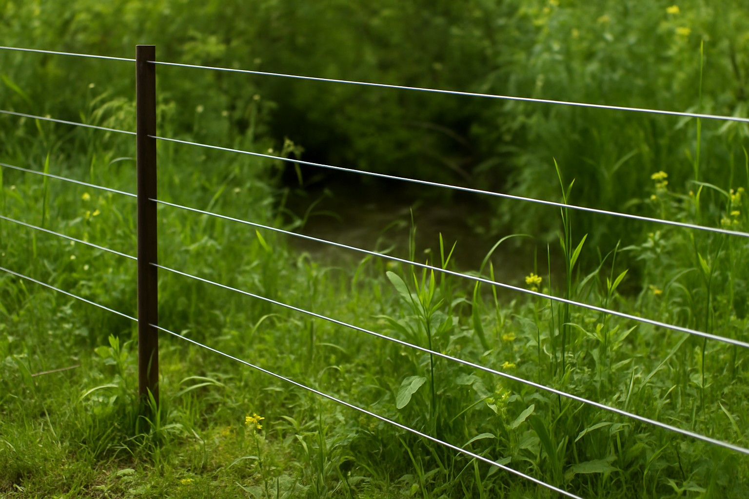 Close-up of wildlife-friendly fence in a riparian zone with smooth wire and gaps.