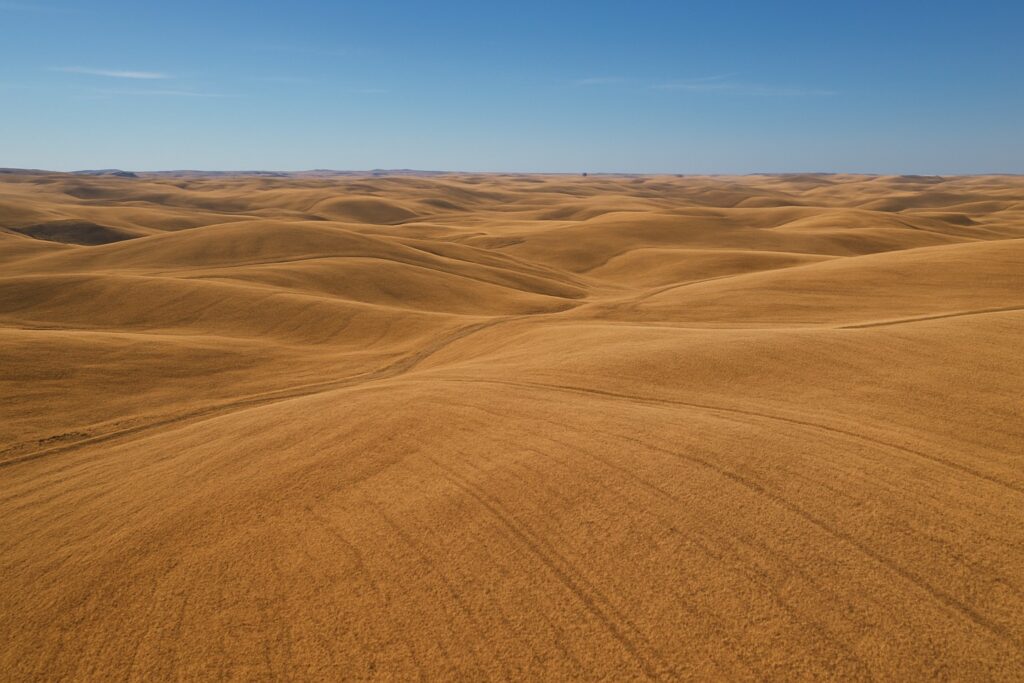 Aerial view of dryland wheat fields in Eastern Washington with rolling hills.